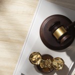 top-view-career-guidance-items-judges